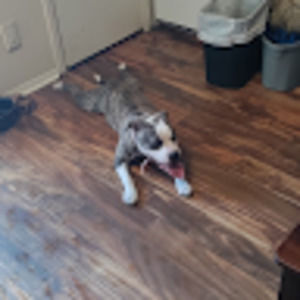 Meet your Posher, Raul